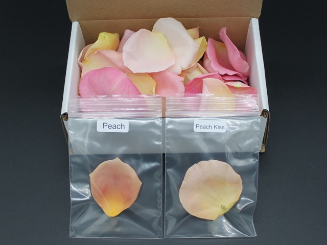 Freeze dried rose petals sample