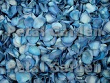 Blue Freeze Dried Petals