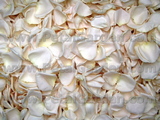Ivory Freeze Dried Petals