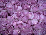 Purple Freeze Dried Petals