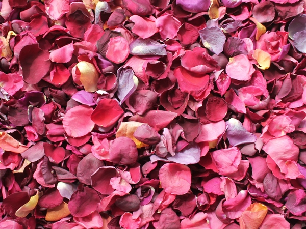 freeze dried rose petals in dark colors