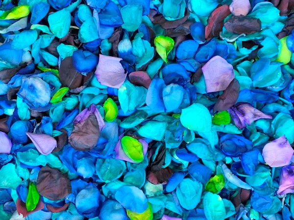 freeze dried rose petals in dyed colors