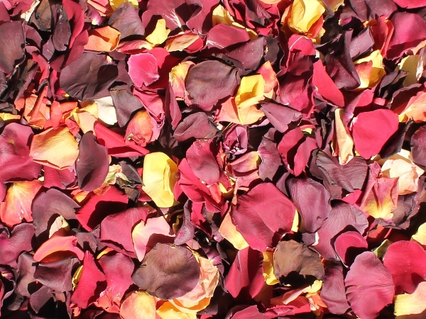 Harvest Blend freeze dried rose petals
