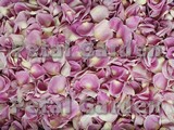 Berry Frost Freeze Dried Rose Petals