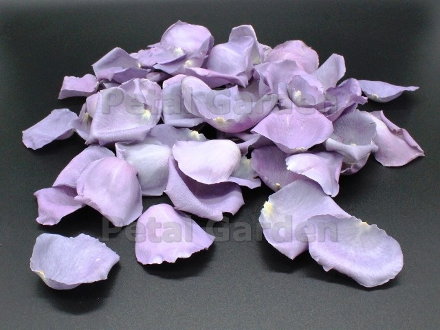 purple freeze dried rose petals