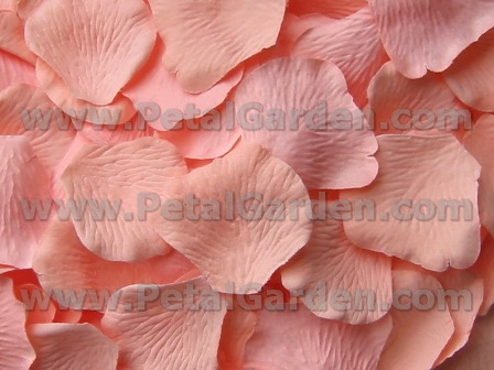 Apricot silk rose petals