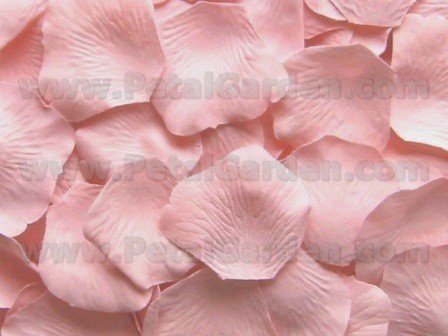 Blush silk rose petals