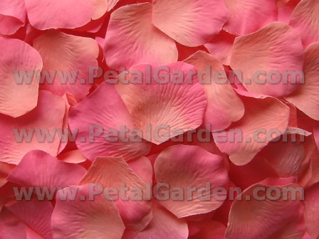 Coral silk rose petals