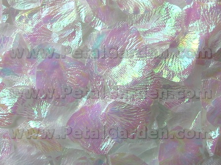 Iridescent silk rose petals
