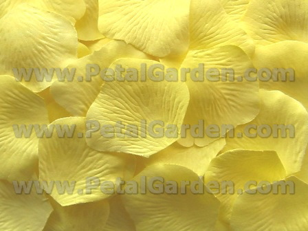 Pale Yellow silk rose petals
