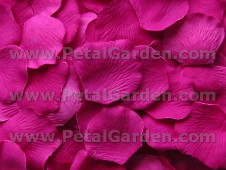 Raspberry silk rose petals
