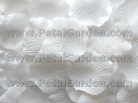 White silk rose petals