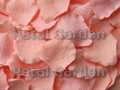 Apricot Silk Rose Petals
