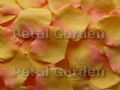 Citrus Silk Rose Petals