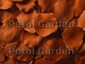 Copper Silk Rose Petals