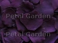 Eggplant Silk Rose Petals