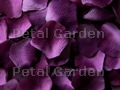 Grape Silk Rose Petals