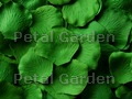 Green Silk Rose Petals