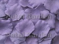 Hyacinth rose petals
