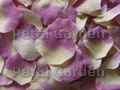 Ivory w/ Purple Silk Rose Petals