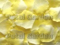 Ivory w/ Yellow Silk Rose Petals