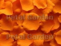 Orange Silk Rose Petals