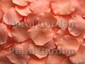 Peachy Silk Rose Petals