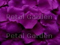 Violet Silk Rose Petals