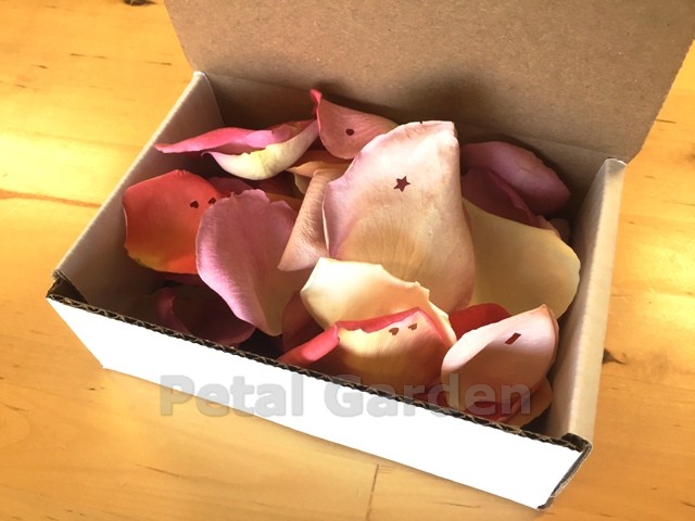 Freeze dried rose petals sample