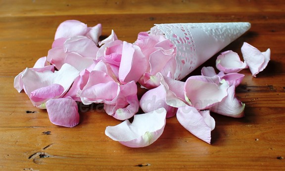 Blush freeze dried rose petals