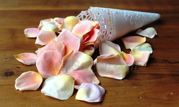 peach freeze dried rose petals