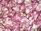 Rosy Mauve Freeze Dried Rose Petals