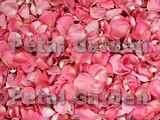 BubbleGum Dried Rose Petals