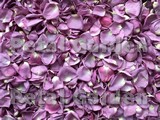 Lilac Freeze Dried Rose Petals