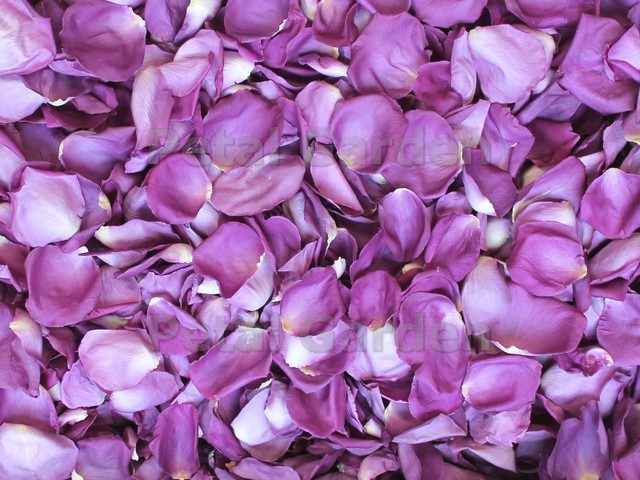amethyst freeze dried rose petals
