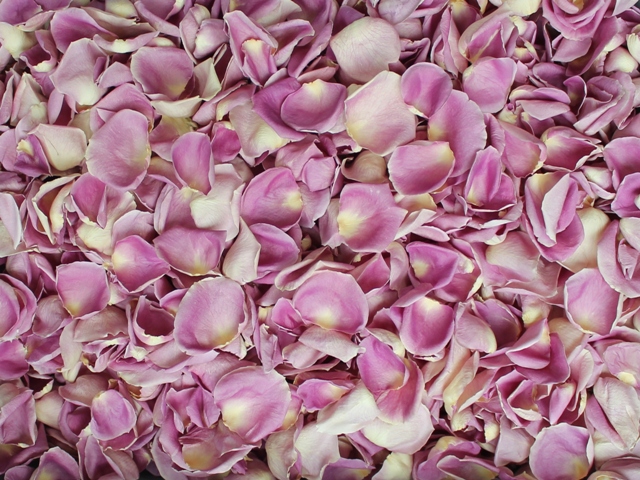 Berry Frost freeze dried rose petals