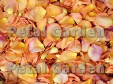 Citrus Freeze Dried Rose Petals