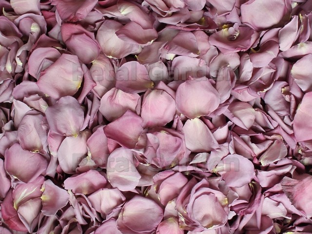 dusty purple freeze dried rose petals