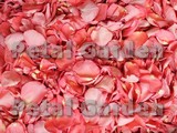 Flamingo Dried Rose Petals
