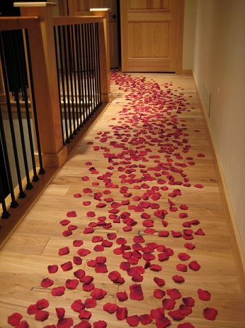 rose petals leading to the bed