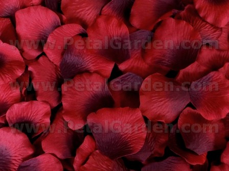 Burgundy silk rose petals