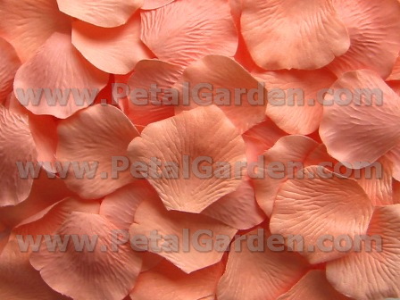 Peachy silk rose petals