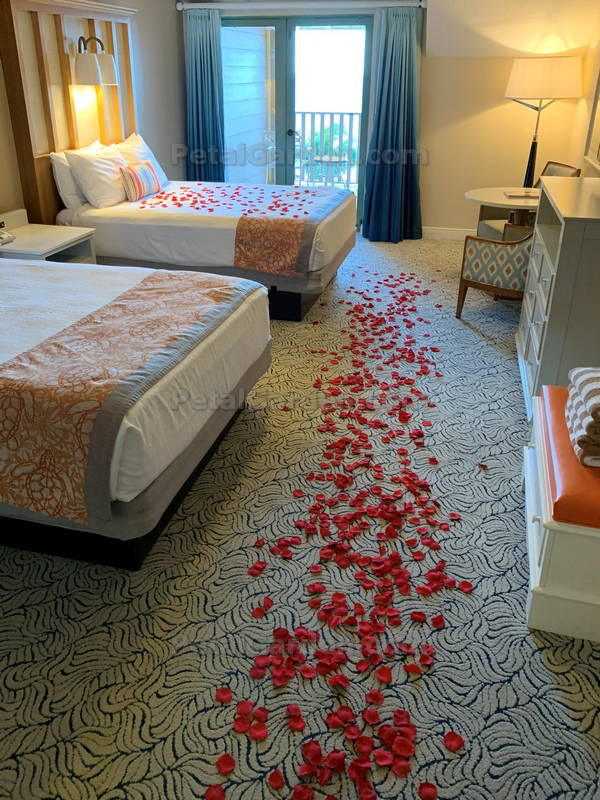 Romance Package Of 1000 Rose Petals Plus Candles