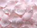 Carnation Silk Rose Petals