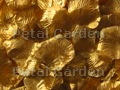 Gold Silk Rose Petals