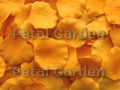 Marigold Silk Rose Petals