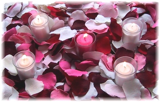 Romance silk rose petals